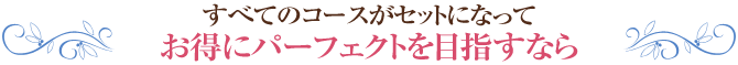 すべてのコースがセットになってお得にパーフェクトを目指すなら